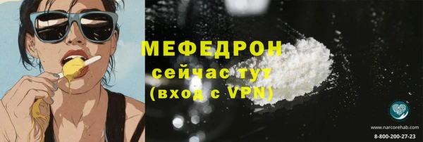 индика Ростов