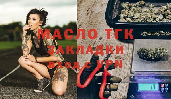 метадон Алексин
