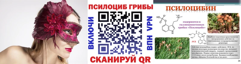 Галлюциногенные грибы Psilocybe  как найти   Муравленко 
