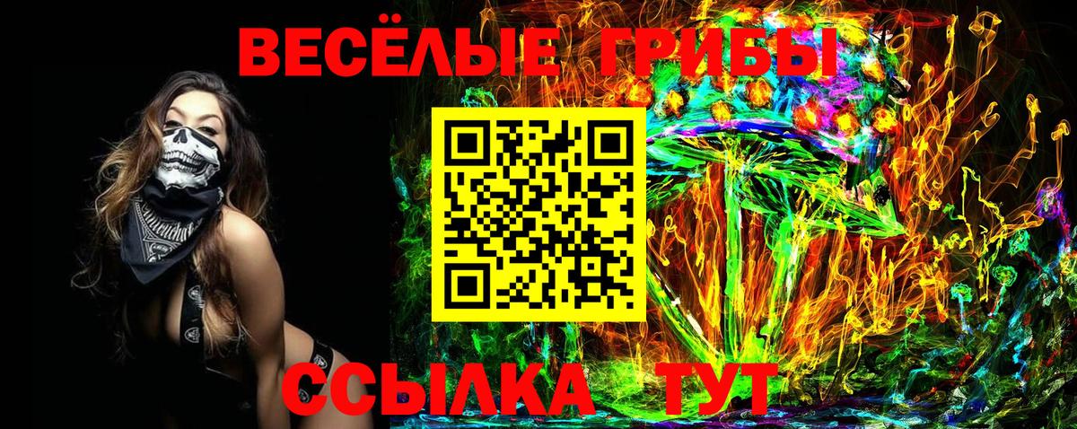 Псилоцибиновые грибы Psilocybine cubensis Муравленко