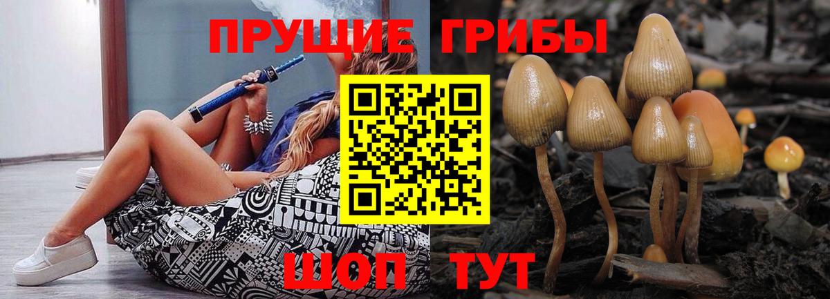 Муравленко  Галлюциногенные грибы Psilocybe  Вход с VPN 